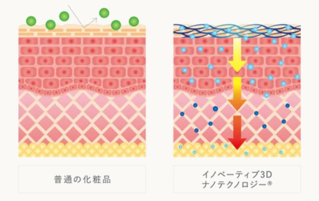 普通の化粧品と比較したイノベーティブ3Dナノテクノロジー®の浸透力の違いを示す断面図
