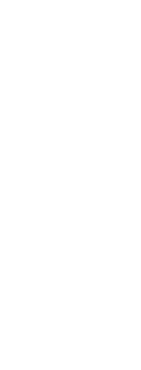 美紋