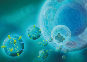 EXOSOMES